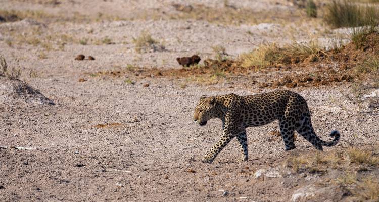 Kenya-Tanzania Safari - Holiday Destination Safaris 6