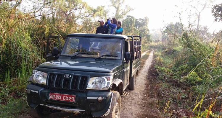 Excursión al Parque Nacional de Chitwan - aventura en la naturaleza - White Hill Adventure Treks and Expedition Pvt Ltd 6