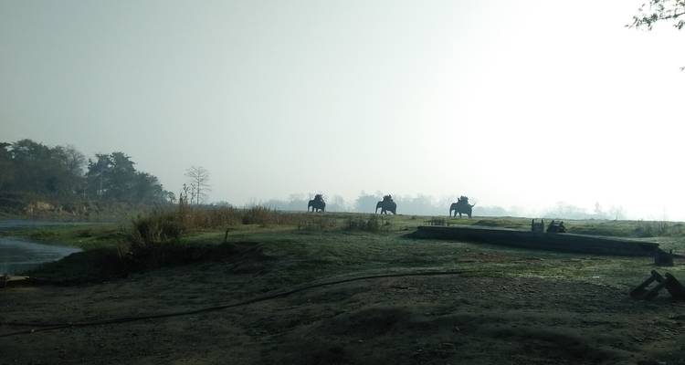 Excursión al Parque Nacional de Chitwan - aventura en la naturaleza - White Hill Adventure Treks and Expedition Pvt Ltd 7
