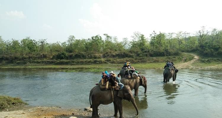 Excursión al Parque Nacional de Chitwan - aventura en la naturaleza - White Hill Adventure Treks and Expedition Pvt Ltd 8