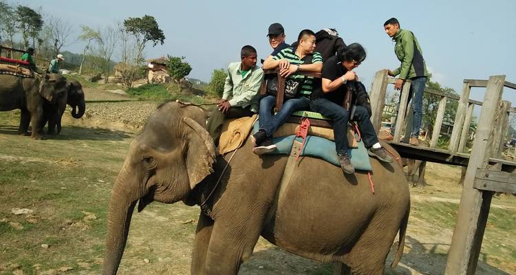 Excursión al Parque Nacional de Chitwan - aventura en la naturaleza - White Hill Adventure Treks and Expedition Pvt Ltd 9