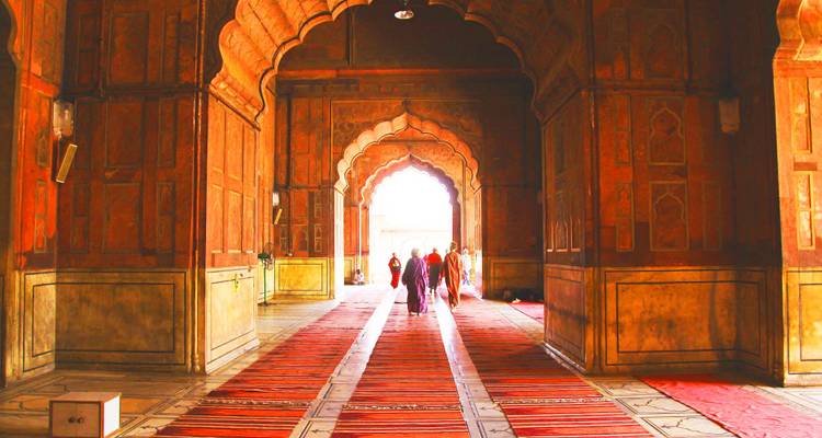 Popular 7 Days  Golden Triangle Tour With  Ajmer and Pushkar (All INCLUSIVE) - Travel Con 10