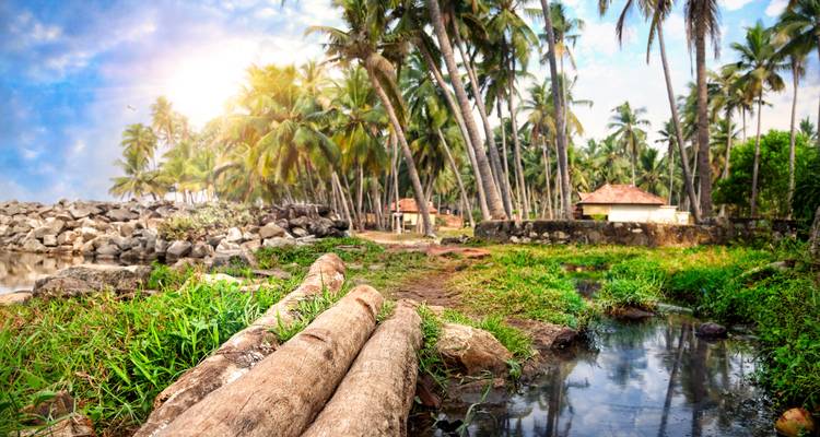 Circuito romántico de 10 días por las playas y los remansos de Kerela - todo incluido - Travel Con 1