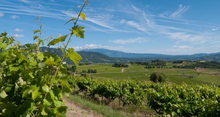 Circuit culturel et gastronomique en Provence - So Provence So Alps ! 1