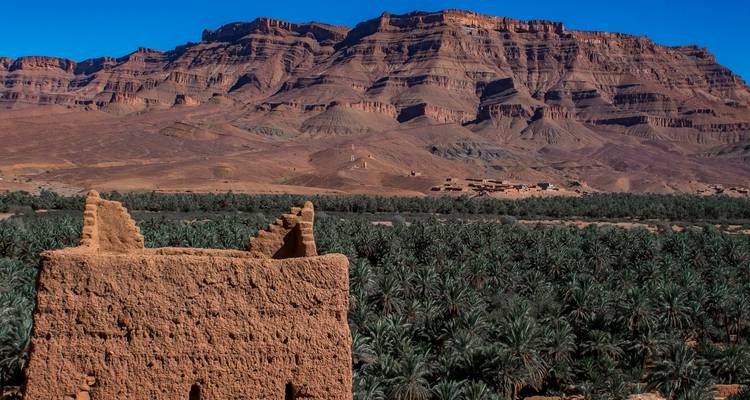 Palm oasis with rocky hills and ancient structures.