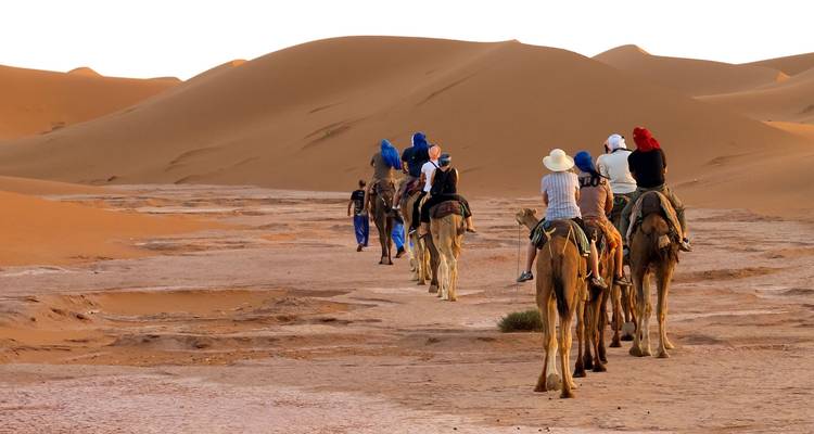 Camel caravan traveling through desert dunes.