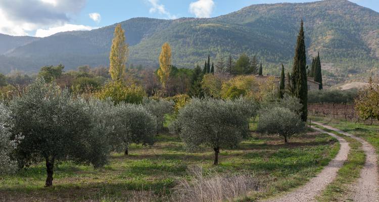 Découverte de l'arrière- pays provençal - So Provence So Alps ! 6