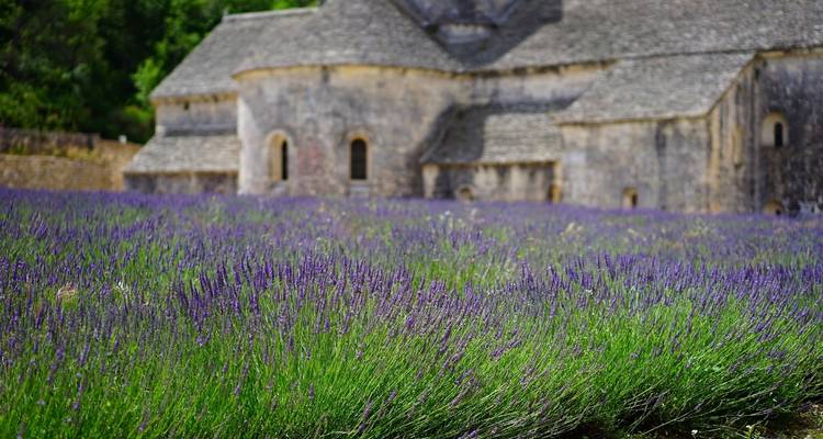 Découverte de l'arrière- pays provençal - So Provence So Alps ! 9