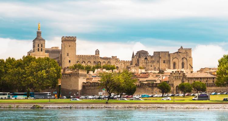 Panorama of Avignon city and historical palace.