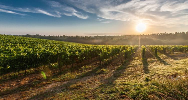 Family Adventure from Lyon to Marseille - So Provence So Alps ! 3