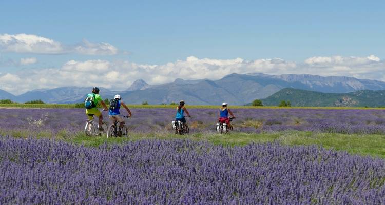 Trek cycliste épicurienne en E- bike dans la Provence authentique - So Provence So Alps ! 1