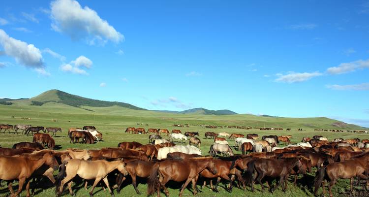 Gobi Desert & Orkhon Valley Tour - View Mongolia Travel 9