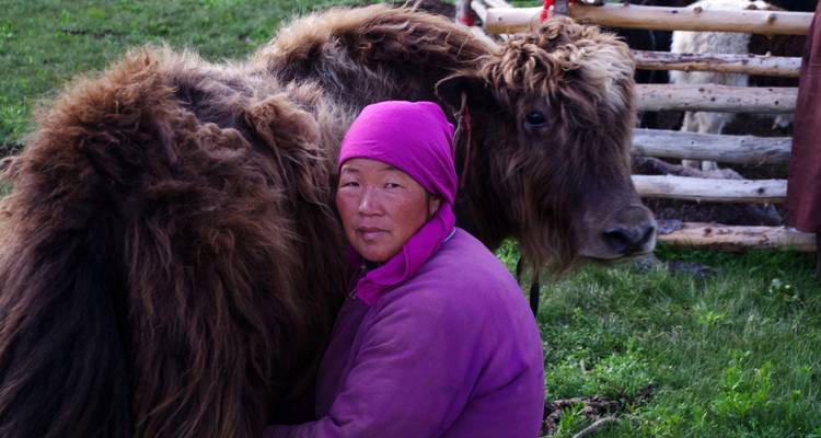 Circuit dans le désert de Gobi et la vallée de l'Orkhon - View Mongolia Travel 10