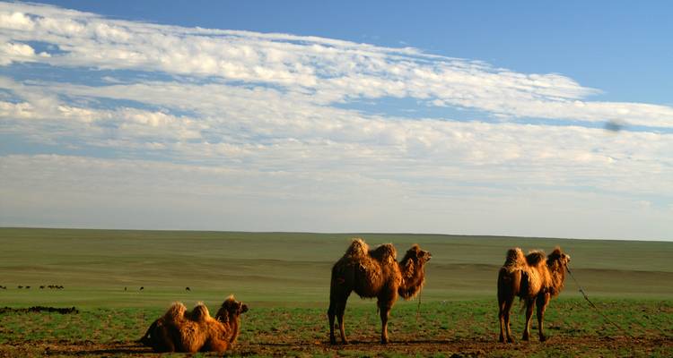 Overland  Explore Mongolia Tour - View Mongolia Travel 10