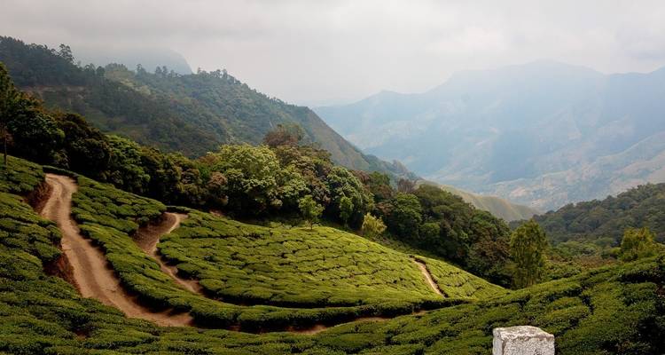 Green terraced landscapes with distant mountains.