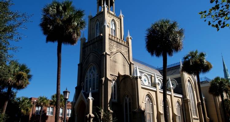 Historical cathedral building with surrounding palm trees.