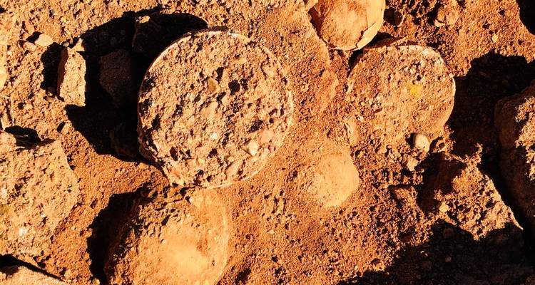 Nahaufnahme von strukturierten Steinen in der Wüste.