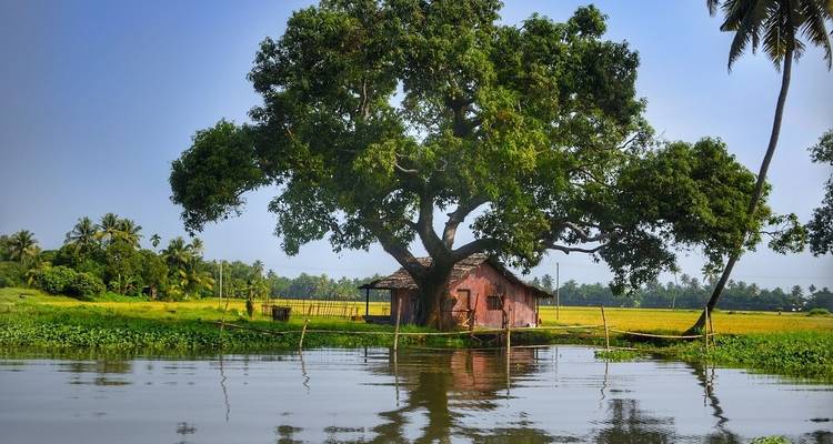 Serene tafereel aan de rivier met een klein huis en boom