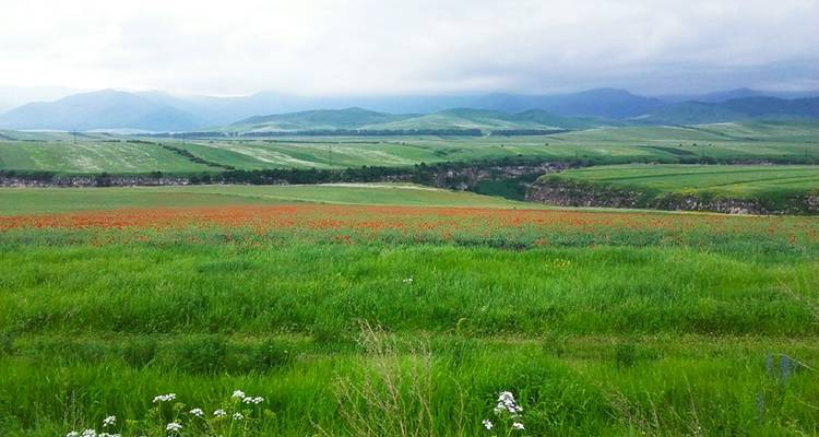 Weitläufige grüne Ebenen mit Blumen und Bergen in der Ferne.