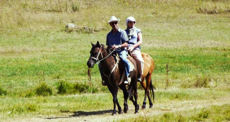 Couple riding horses in a meadow.