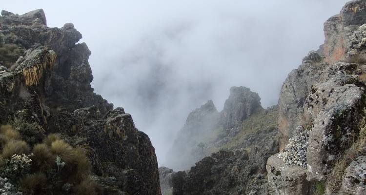 Mistige bergkloof met rotsige kliffen.