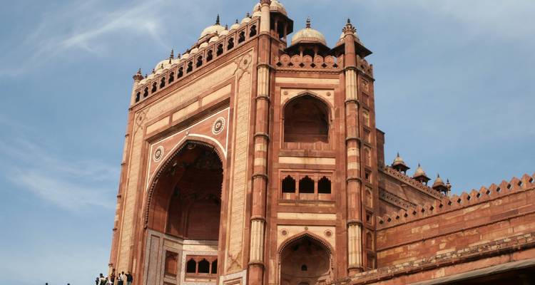 11 jours de safaris animaliers en Inde avec visite romantique du Taj Mahal - TOUT COMPRIS - Travel Con 10