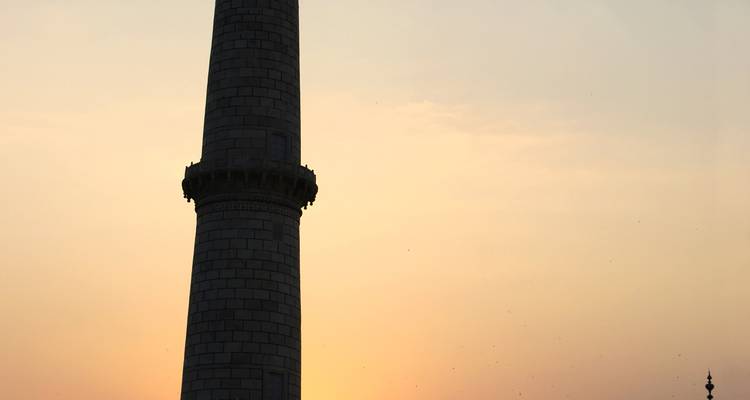 11 jours de safaris animaliers en Inde avec visite romantique du Taj Mahal - TOUT COMPRIS - Travel Con 8