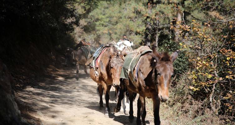 Everest BC Luxury Trek in Nepal - Travel Max Guide 10