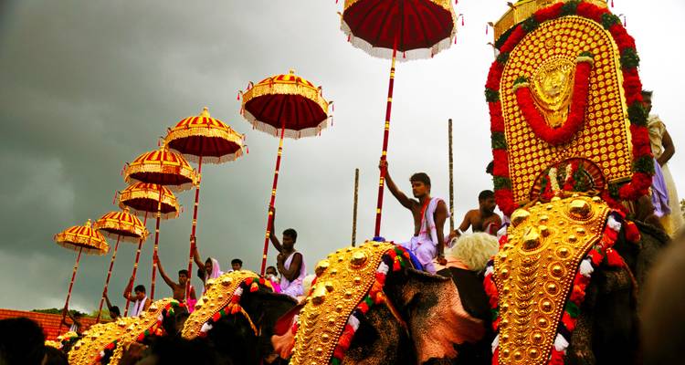 Circuito de 11 días a las Perlas del sur de la India con estancia en una casa flotante de lujo - todo incluido - Travel Con 7