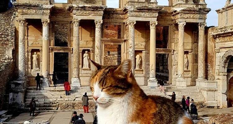6 Days - Ephesus, Pamukkale, Cappadocia, and Istanbul Tour - Iglesias Tour Turkey 3