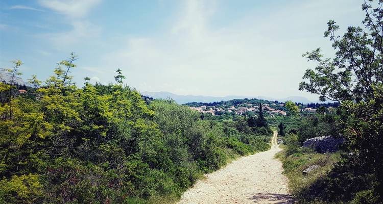 Island hopping walking tour Split to Dubrovnik - Fiore Tours 6