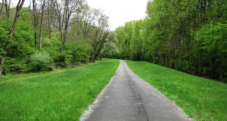 Piste cyclable du Rhin III - Eurobike 6