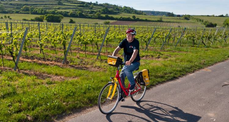 Piste cyclable du Rhin III - Eurobike 3