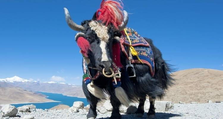 Bhutan, 10 days tour (On Request) - Le Passage to India 7