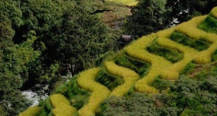 Bhutan, 10 days tour (On Request) - Le Passage to India 9