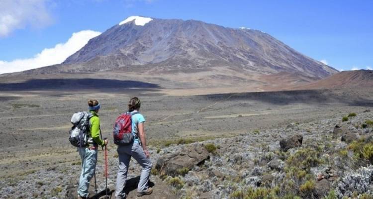 7 Days Mount Kilimanjaro - Marangu Route - Kiriwe Travel And Trekking Safaris Ltd 4