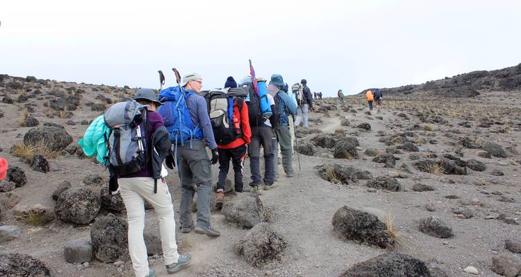 7 Days Mount Kilimanjaro - Marangu Route - Kiriwe Travel And Trekking Safaris Ltd 8