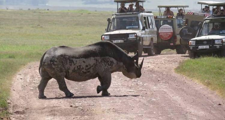 Lo mejor de Tanzania en 8 días - Kiriwe Travel And Trekking Safaris Ltd 8