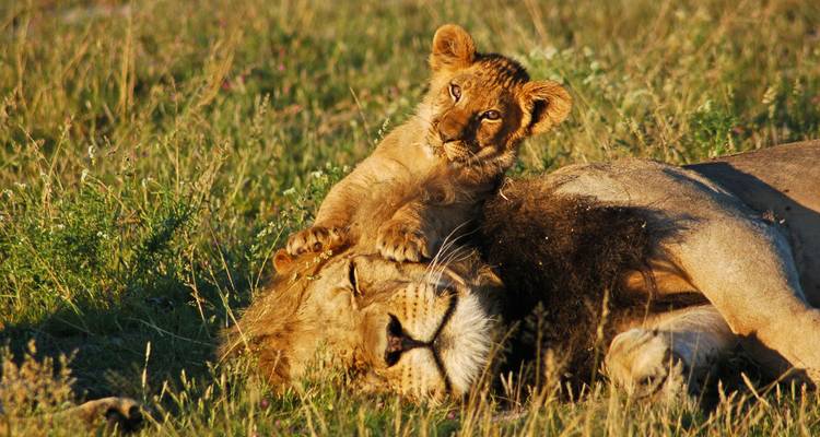 Zambia's Best Parks - Adventure Purists Ltd. 2
