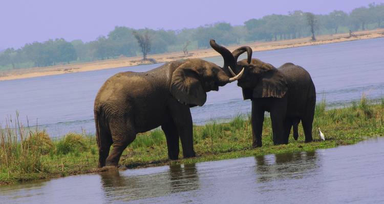Zambia's Best Parks - Adventure Purists Ltd. 1