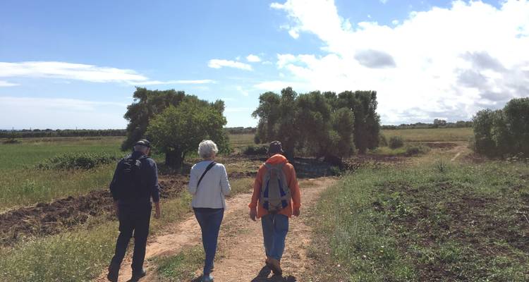 Puglia Walking Tour - Italy With Pleasure 9
