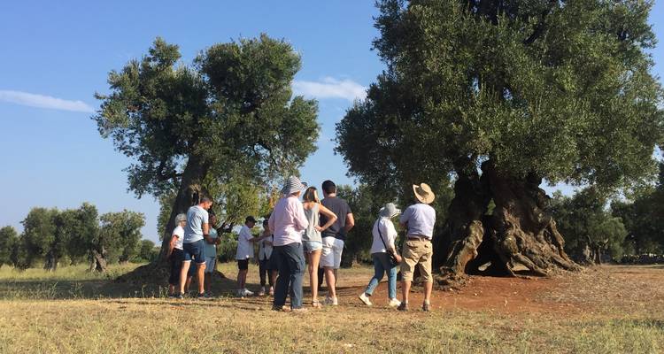 Puglia Walking Tour - Italy With Pleasure 3