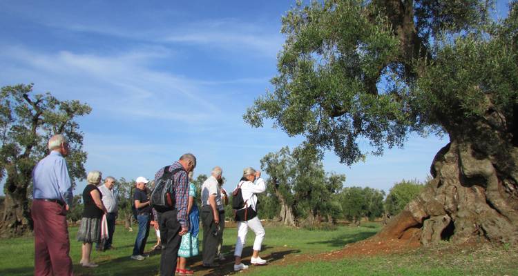 Excursión culinaria por Apulia - Italy With Pleasure 1