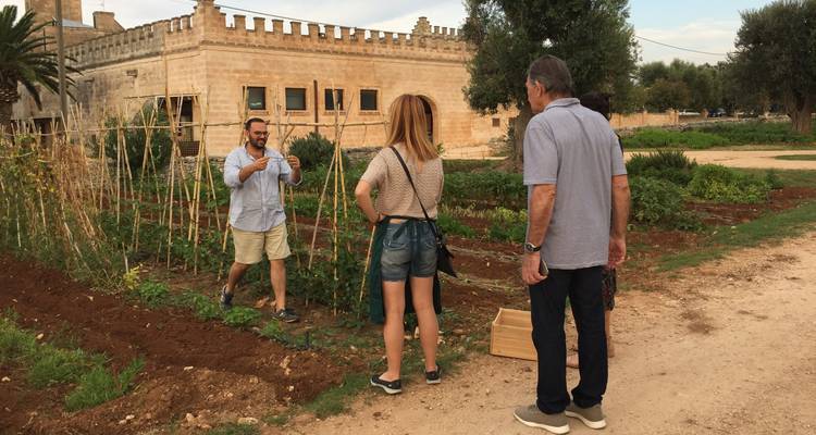 Excursión culinaria por Apulia - Italy With Pleasure 9