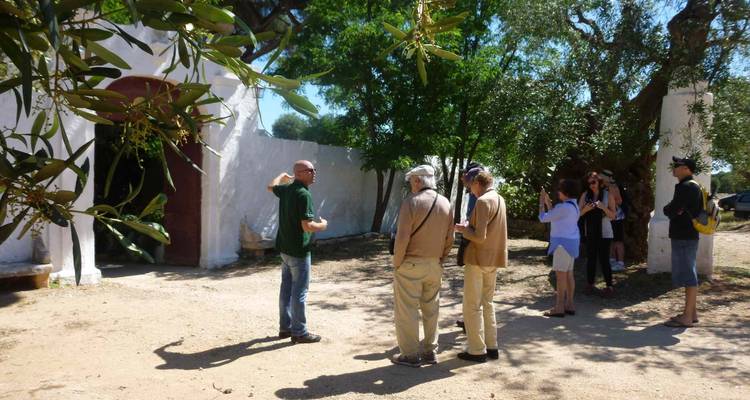 Circuito por Apulia: la combinación perfecta de estilo de vida, cultura, historia y gastronomía - Italy With Pleasure 1