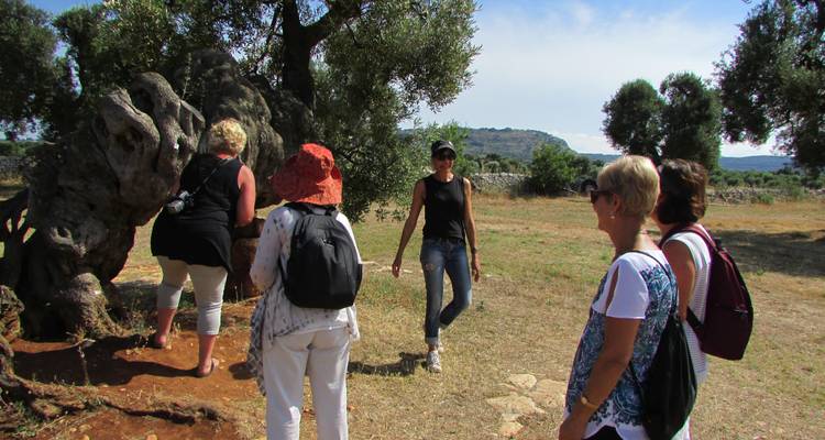 Circuito por Apulia: la combinación perfecta de estilo de vida, cultura, historia y gastronomía - Italy With Pleasure 10