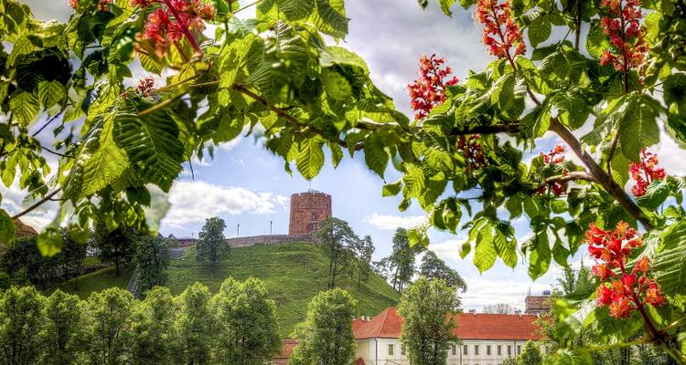 Métropoles baltes en 10 jours (Vilnius - Riga - Tallinn - Helsinki) - Baltic Nature Travel 2