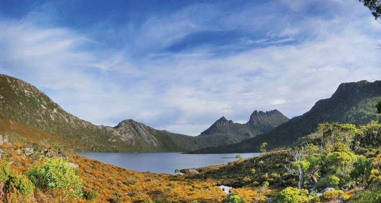 Vue panoramique du Cradle Mountain se reflétant dans le Dove Lake, entourée d'une végétation alpine colorée sous un ciel éclatant