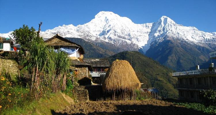 Trek du camp de base de l'Annapurna - 6 jours - Himalayan Adventure Treks & Tours 4