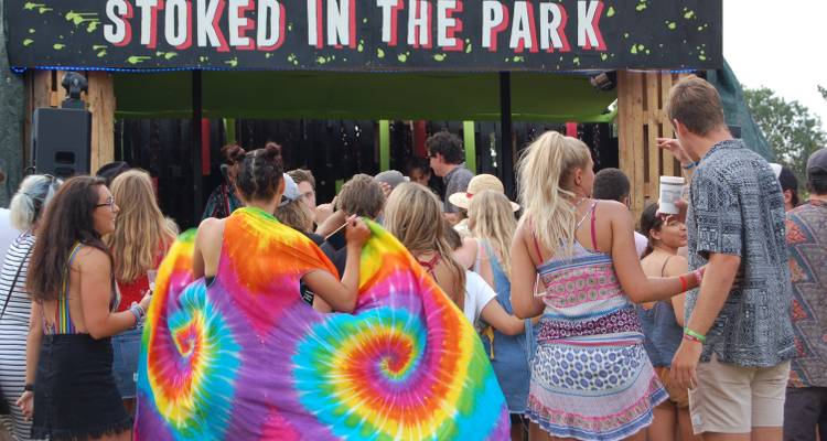 Une foule qui profite d'un événement musical, vue de derrière.